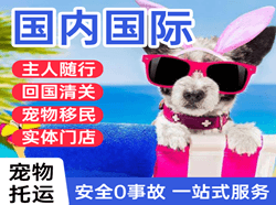 阿拉尔塔里木空运代理国际宠物托运 【国